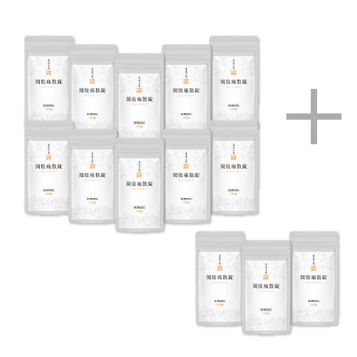 関肢痛散錠120錠 おまとめ10袋セット+120錠3袋付き