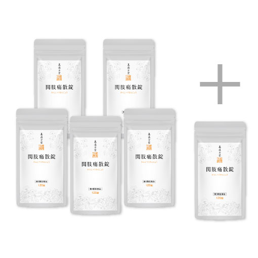 関肢痛散錠120錠 おまとめ5袋セット+120錠1袋付き
