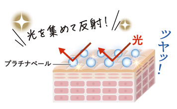 薬用美白]オールインワン プラチナホワイトクリーム 40g | ルソイル