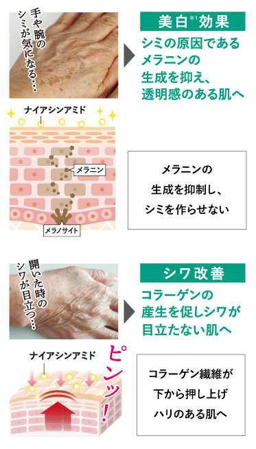 シーボン　薬用美白クリーム35g フェイシャリストホワイトシリーズ一覧│【公式】シーボン（C