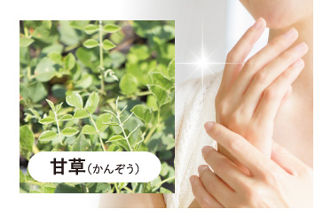 薬用美白]ホワイトハンド＆スキンクリーム 85g | ルソイル