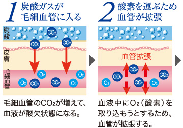 1炭酸ガスが毛細血管に入る 2酸素を運ぶため血管が拡張 3酸素を血管外へ供給周辺細胞が元気に 血行促進、代謝アップ細胞イキイキ!