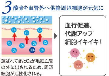 炭酸美容コラム! あなたを悩ます“顔のシミ・シワ・たるみ”も正しい炭酸ケアですっきり解消!
